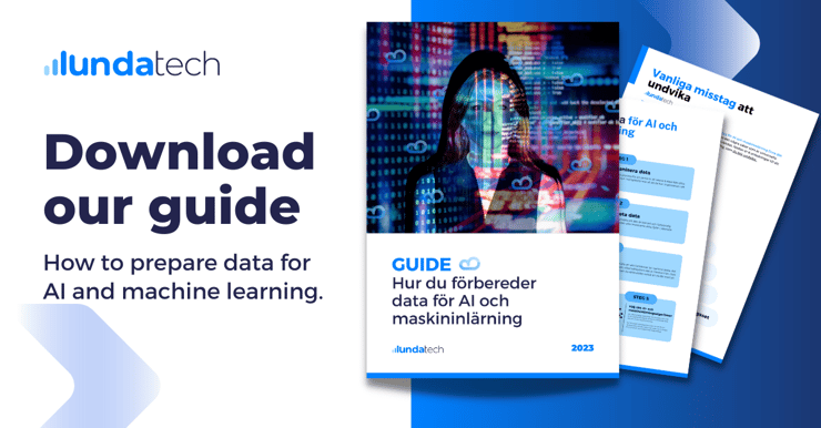 How to prepare data for AI and machine learning GUIDE