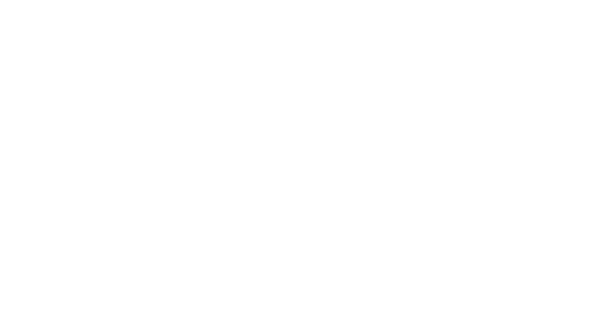 binarybrains-logo-white-2048x1087